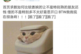 云梦工资清欠服务